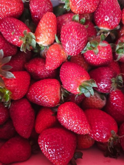 Fresas rojas