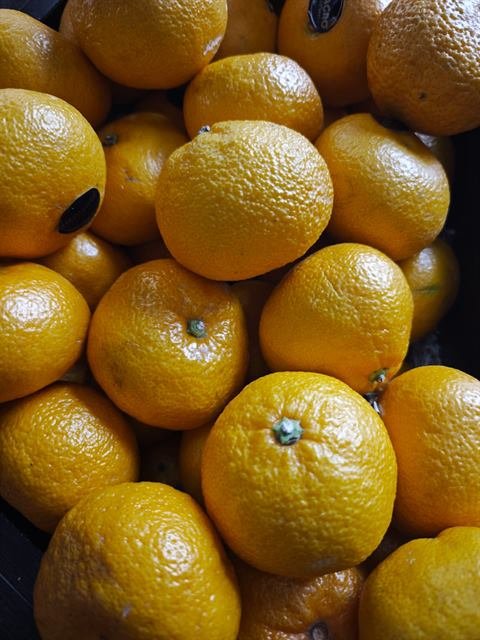 Mandarinas