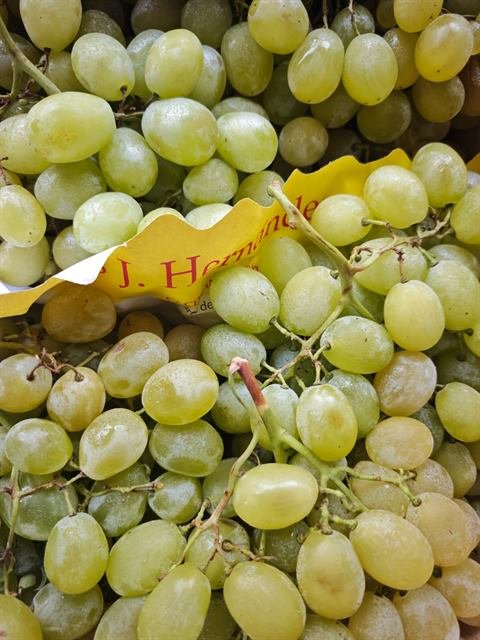 Uvas blancas en racimo